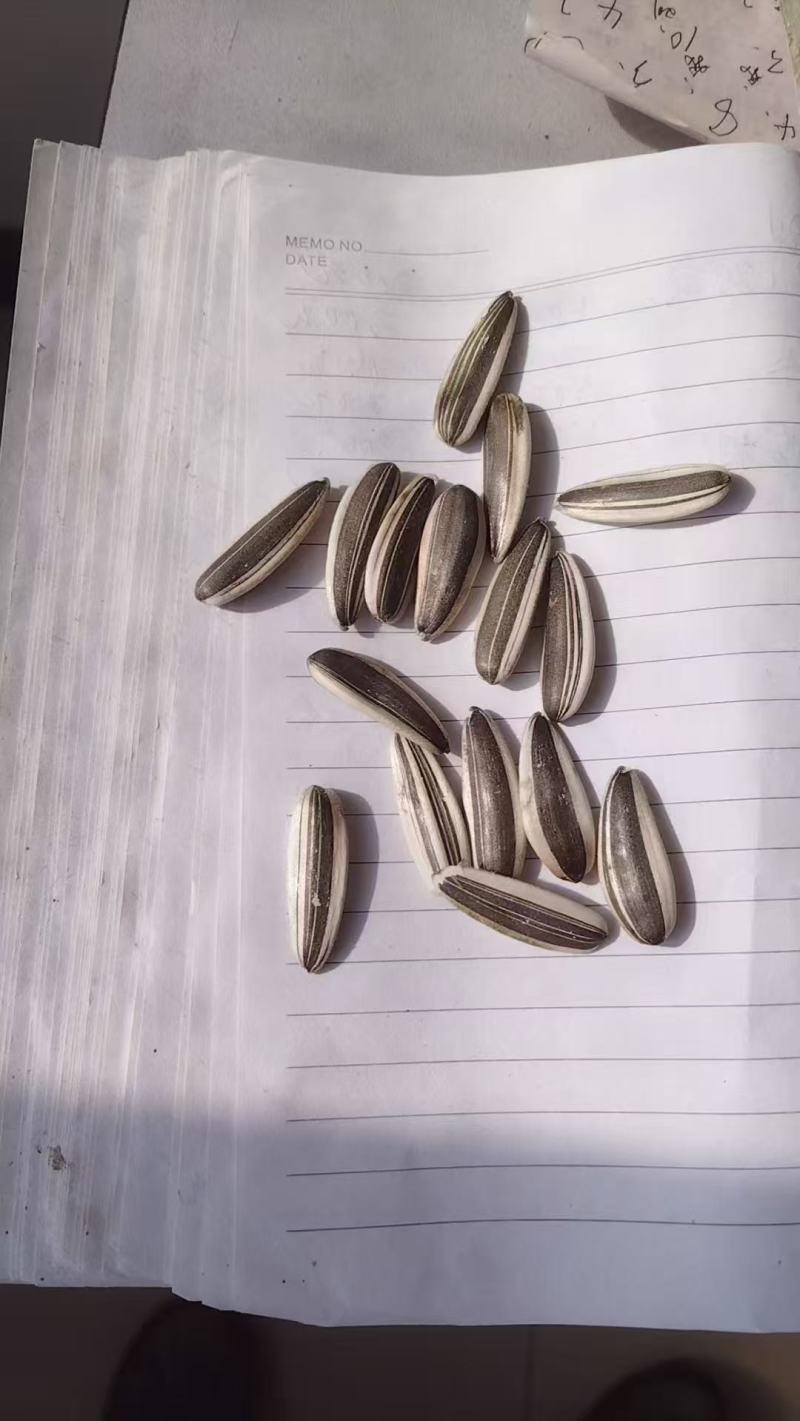 甜葵一号生货，一手货源，品质保证，可视频看货，诚信经