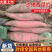 糖心流蜜西瓜红蜜薯大量上市，甜糯无丝耐储存，产地直供批发
