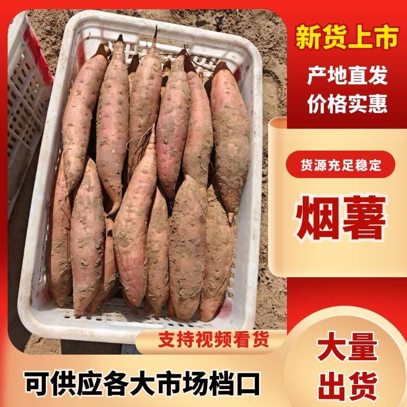 糖心流蜜烟薯25批发，烤薯专用甜糯无丝，耐储存基地直供！