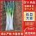 长白大葱基地直发，葱白长实心耐运输，商超专用量大价优