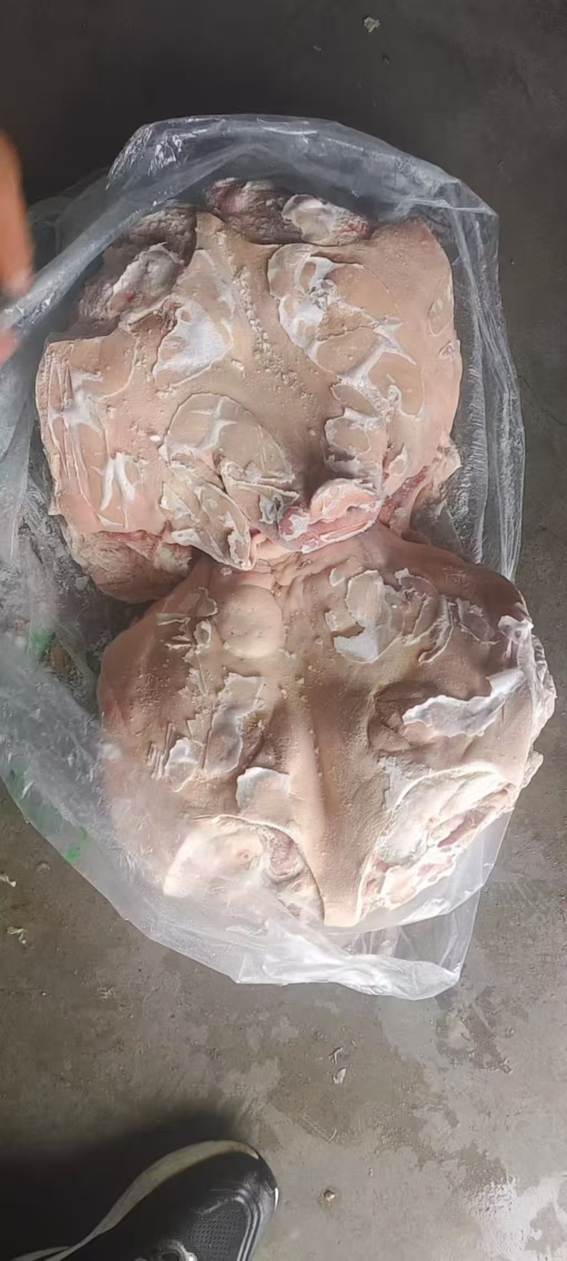劈半无耳头