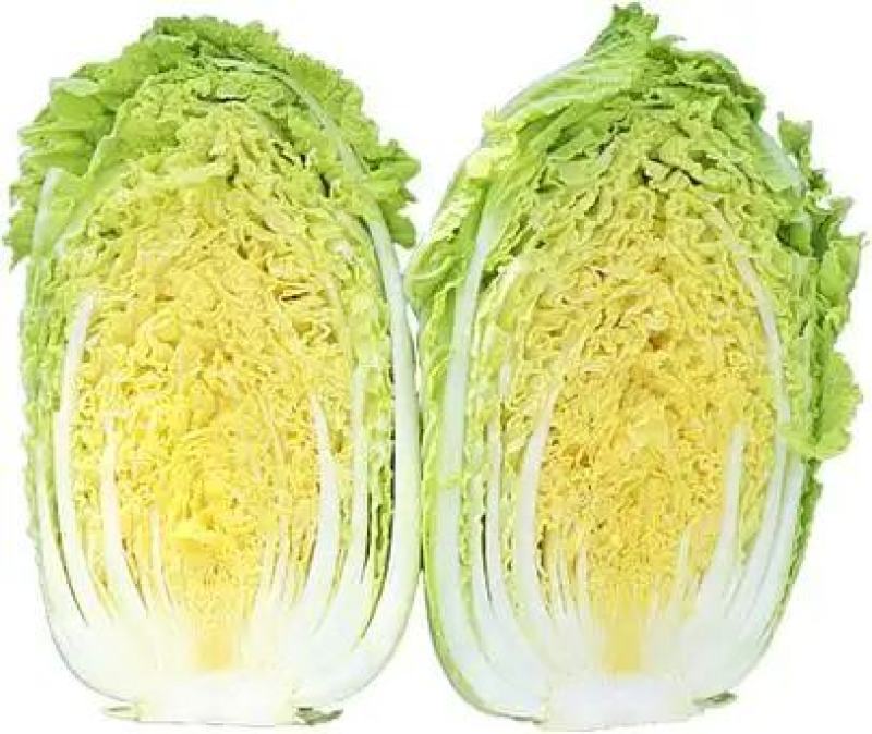 黄心大白菜，一手货源，