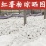 《纯手工红薯粉条》安徽基地直发对接全国保质保量一条龙服务
