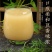 甘肃黄芪粉特级破壁超细粉泡水喝黄芪一等品真品中药正宗黄氏