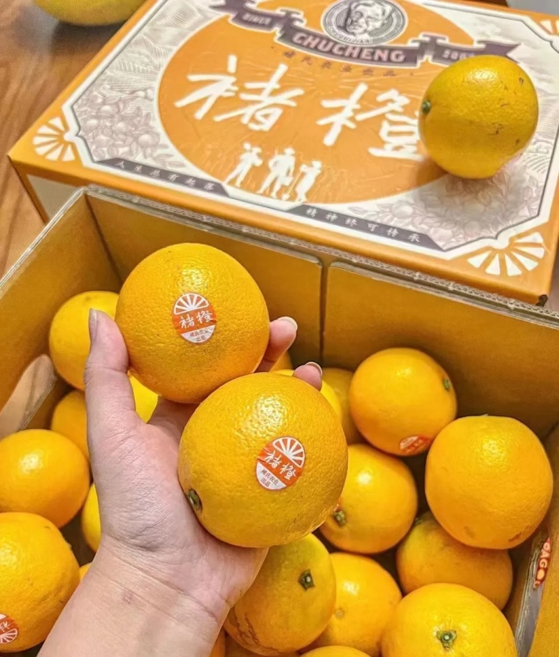 褚橙10斤礼盒装2025云南哀牢山褚橙冰糖橙新鲜水果褚橙