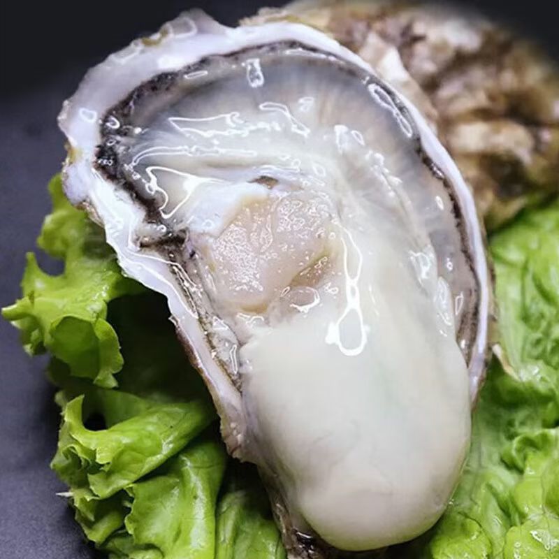 乳山生蚝，液氮半壳生蚝，生蚝肉