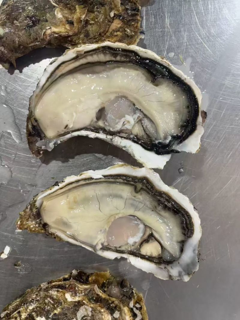 乳山生蚝，液氮半壳生蚝，生蚝肉