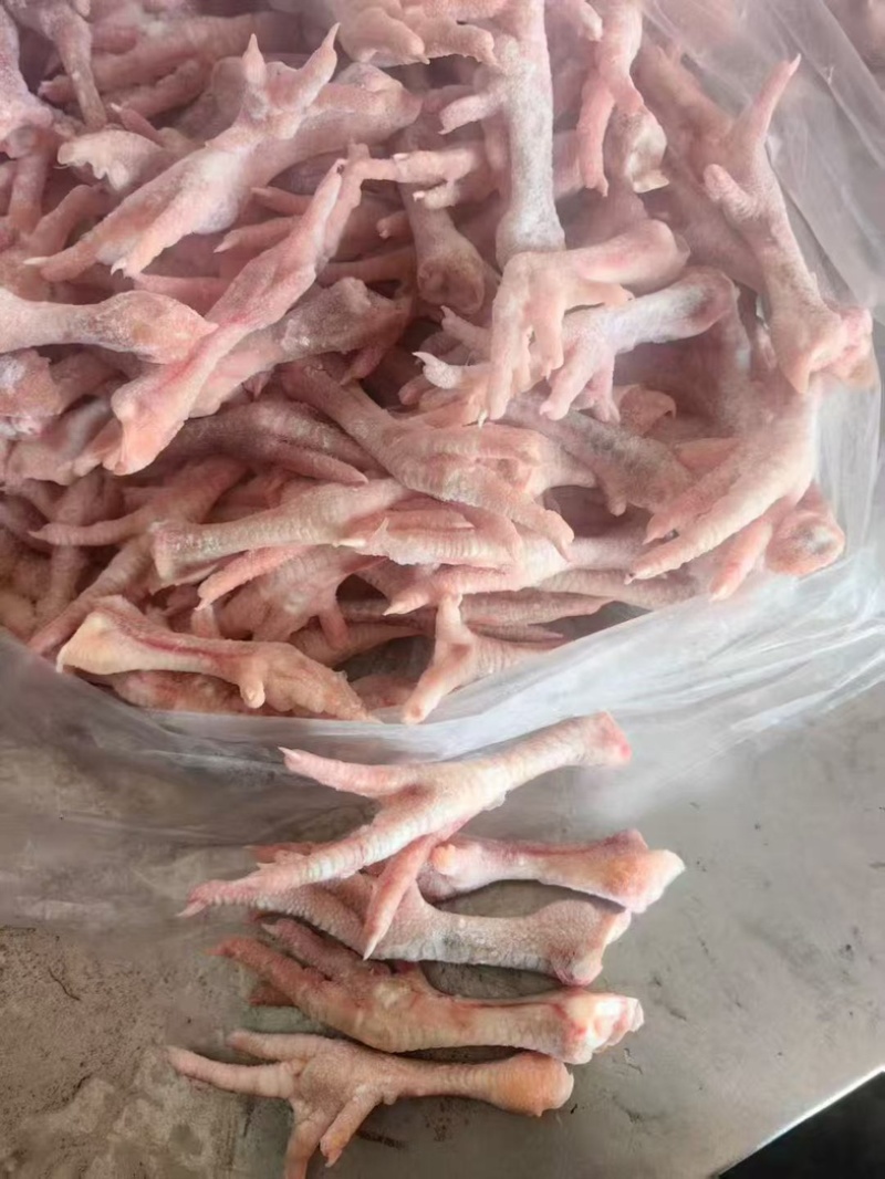 817中装爪20-30克现货15吨工厂直发手续