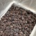 云南冰冻新鲜黑松露茶白色心3-4厘米