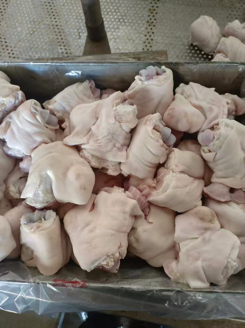 肥猪蹄圈