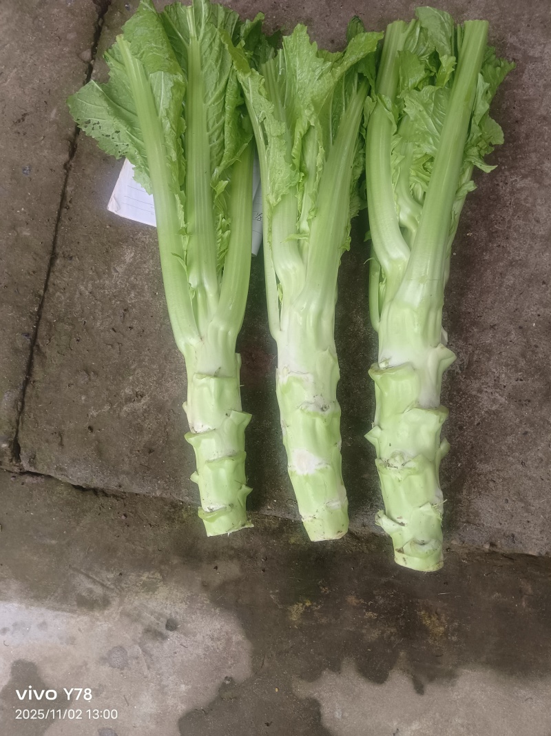 棒菜