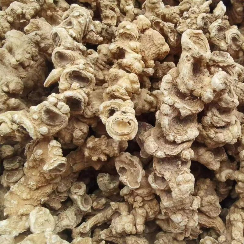 竹根七竹节参中药材竹山漆竹节三七竹鞭三七罗汉三七