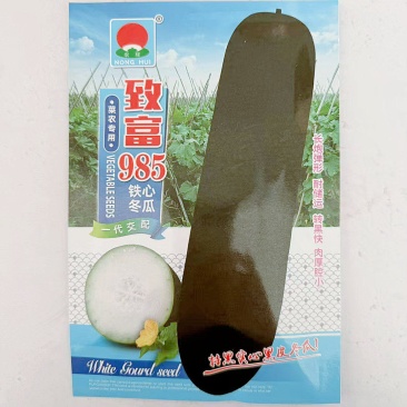 致富985铁心冬瓜种籽广东特大黑皮炮弹型冬瓜种子农家蔬菜