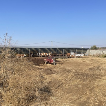 2.5亩左右养殖用地，设备齐全