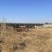 2.5亩左右养殖用地，设备齐全