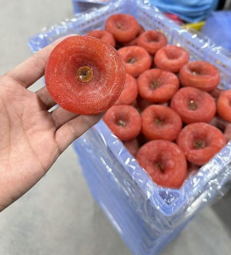 广西平乐柿饼源头基地加工厂一手货源圆饼吊饼便宜大量上市了