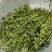 毛茨菇山茨菇