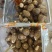 芋头种子毛芋头种子8520芋头种子发芽率高一条龙