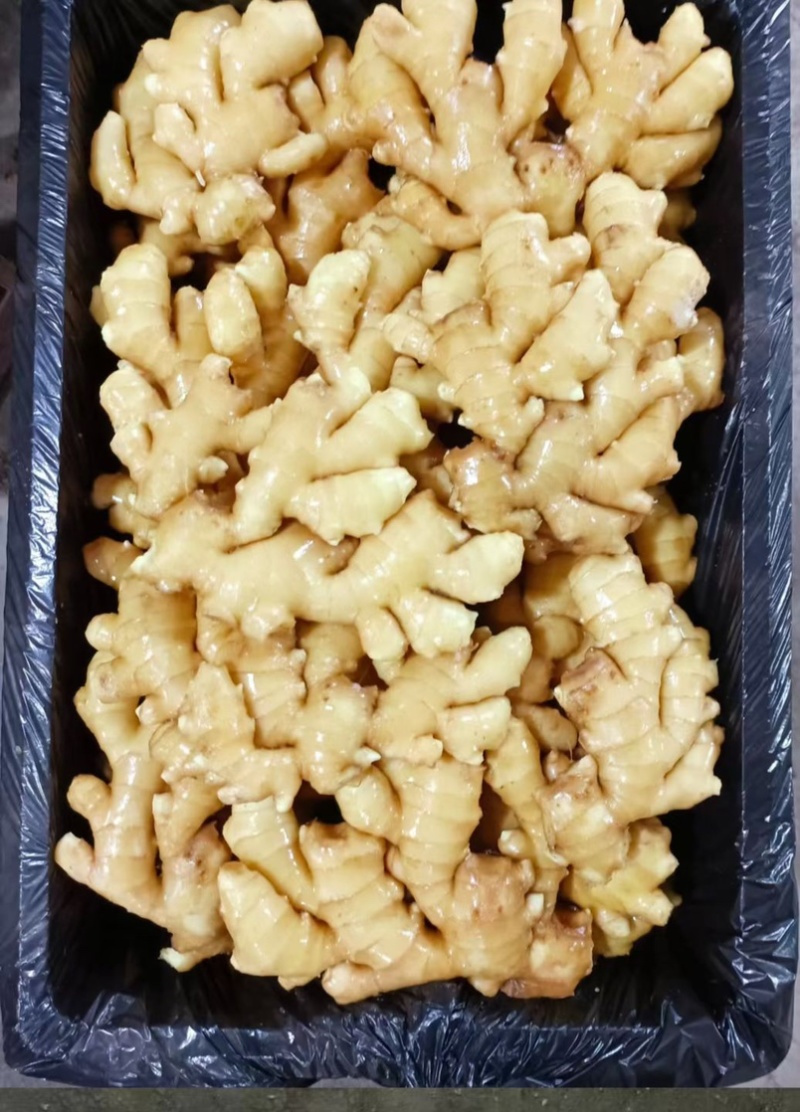 精品姜巴大黄姜小黄姜姜母沙土/水洗/风干姜按需加工