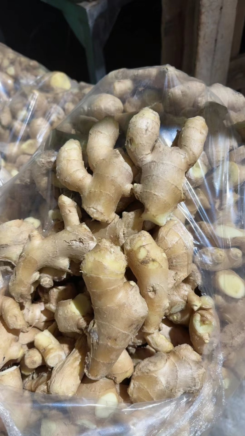 精品姜巴大黄姜小黄姜姜母沙土/水洗/风干姜按需加工