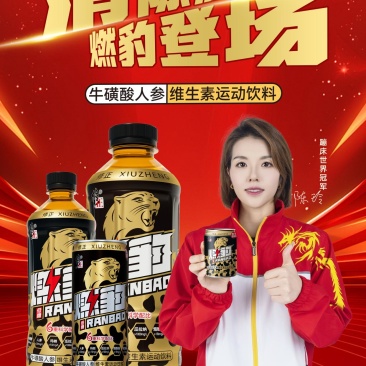 修正燃豹
