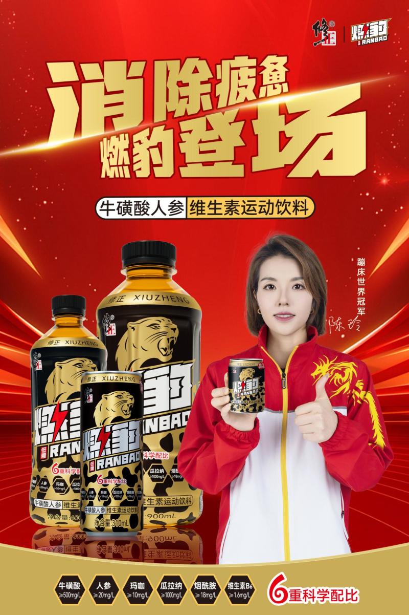 修正燃豹