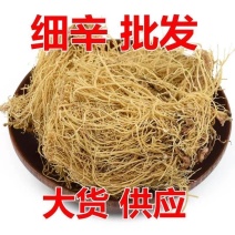 细辛正宗辽细辛中药材批发零售货真价实假一陪十