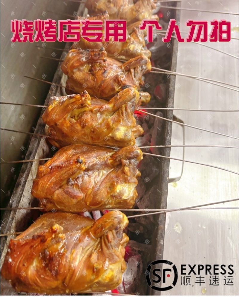 吉林特色一毛街品牌半成品果木炭烤鸽子，烧烤店都在用