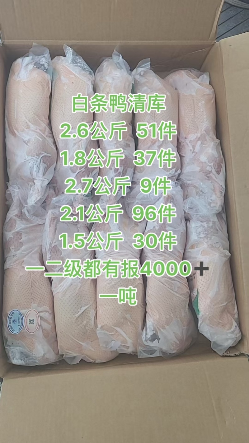 白条鸭清库工厂直发手续齐全4800一吨
