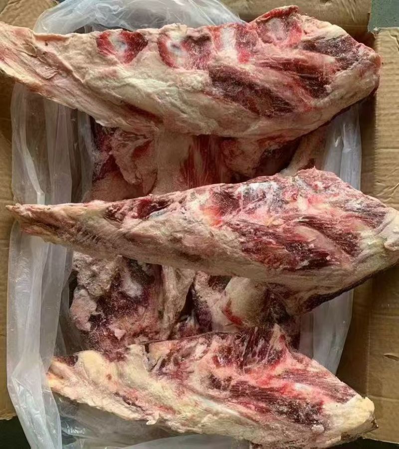 牛燕翅骨