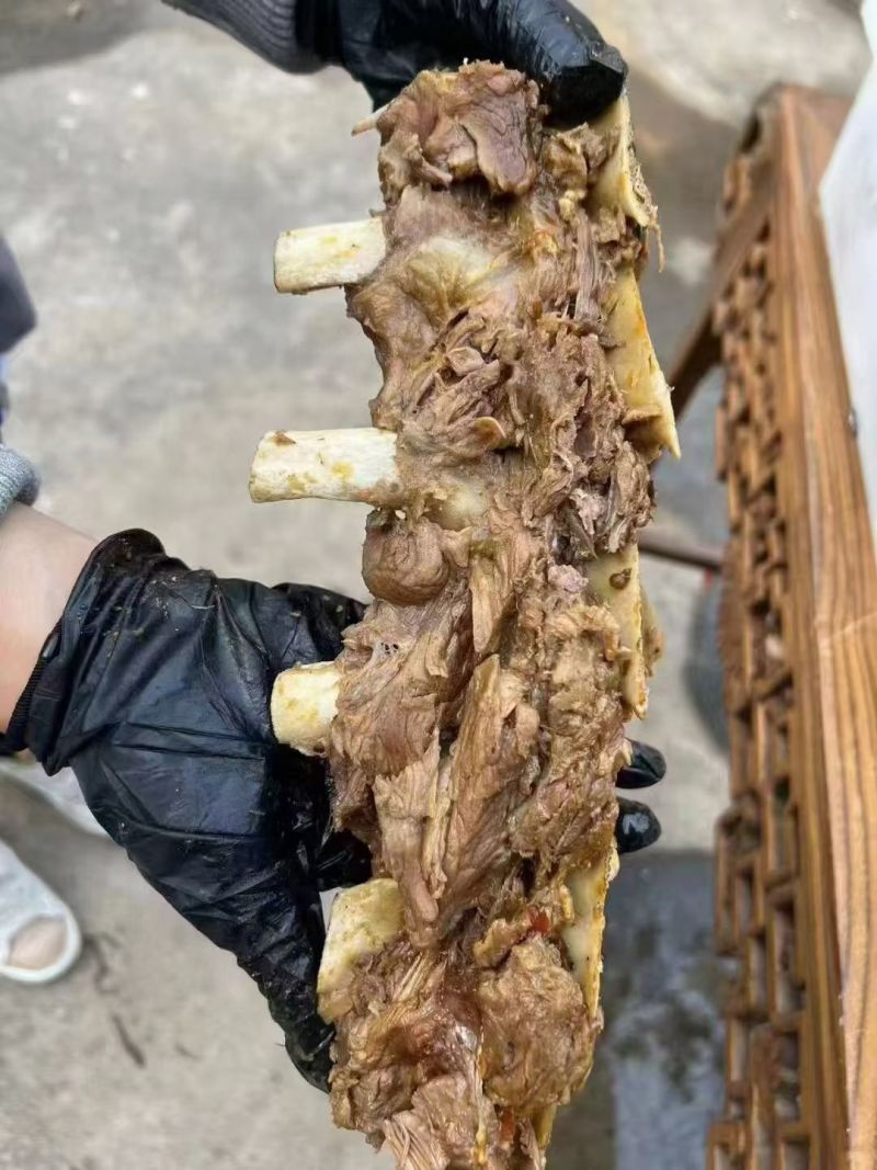 牛肋眼骨