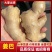 精品姜巴大黄姜小黄姜姜母沙土/水洗/风干姜按需加工