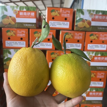 赣南脐橙一件代发，电商