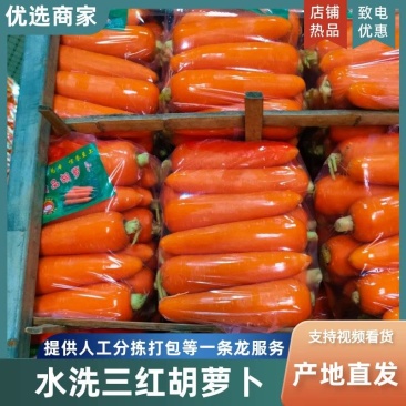 胡萝卜出口标准，支持各种规格各种包装，品质保证，欢迎来电