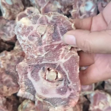 羊脖骨