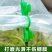 小拱棚压膜夹双头压膜夹大棚压模夹配件