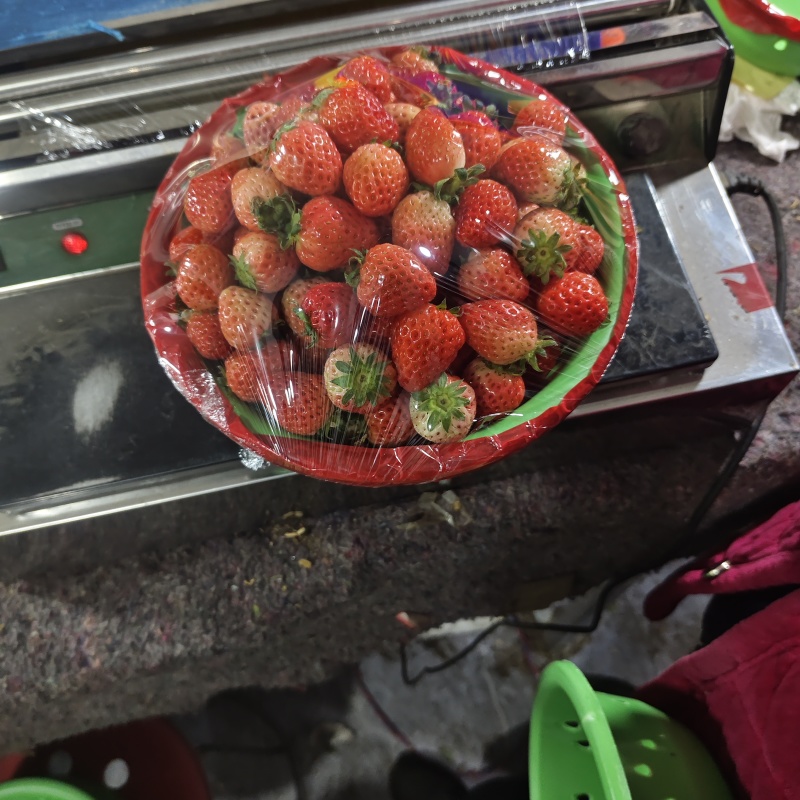 宁玉草莓代收代购，大量有货，可对接全国，可视频看货