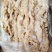一级肥猪预煮大肠去油85%10kg/箱新货