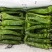 夏邑301辣椒炮椒