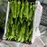 夏邑301辣椒炮椒