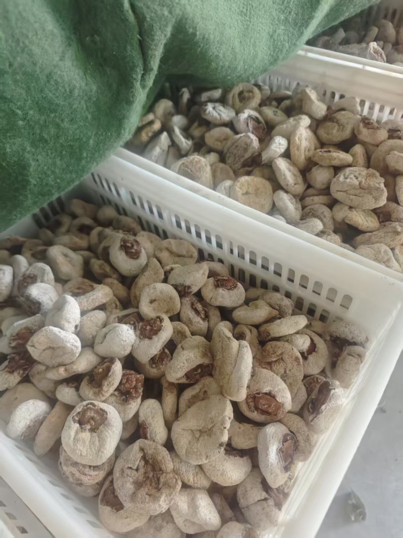 涉县柿饼