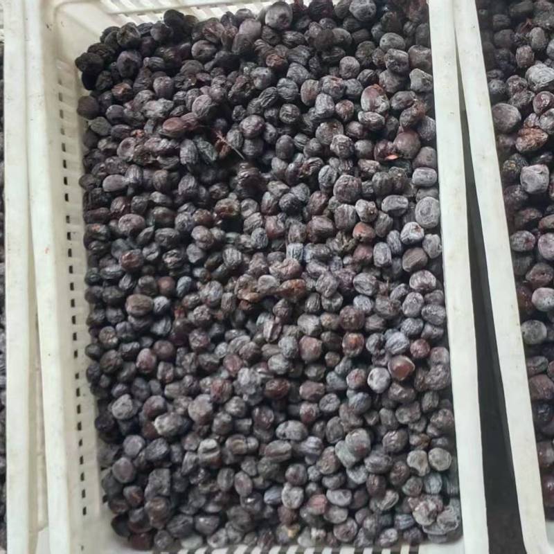涉县软枣