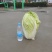 精品黄心大白菜