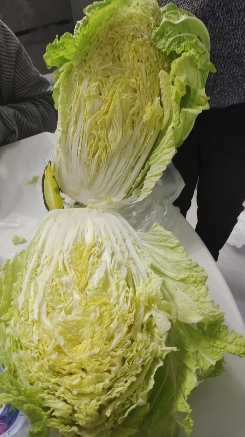 精品黄心大白菜