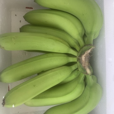 广西香蕉一件代发，价格实惠，货源充足