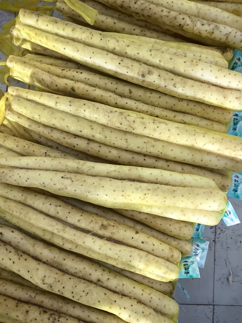 双棒山药电商平台货各种规格包装都有，欢迎致电