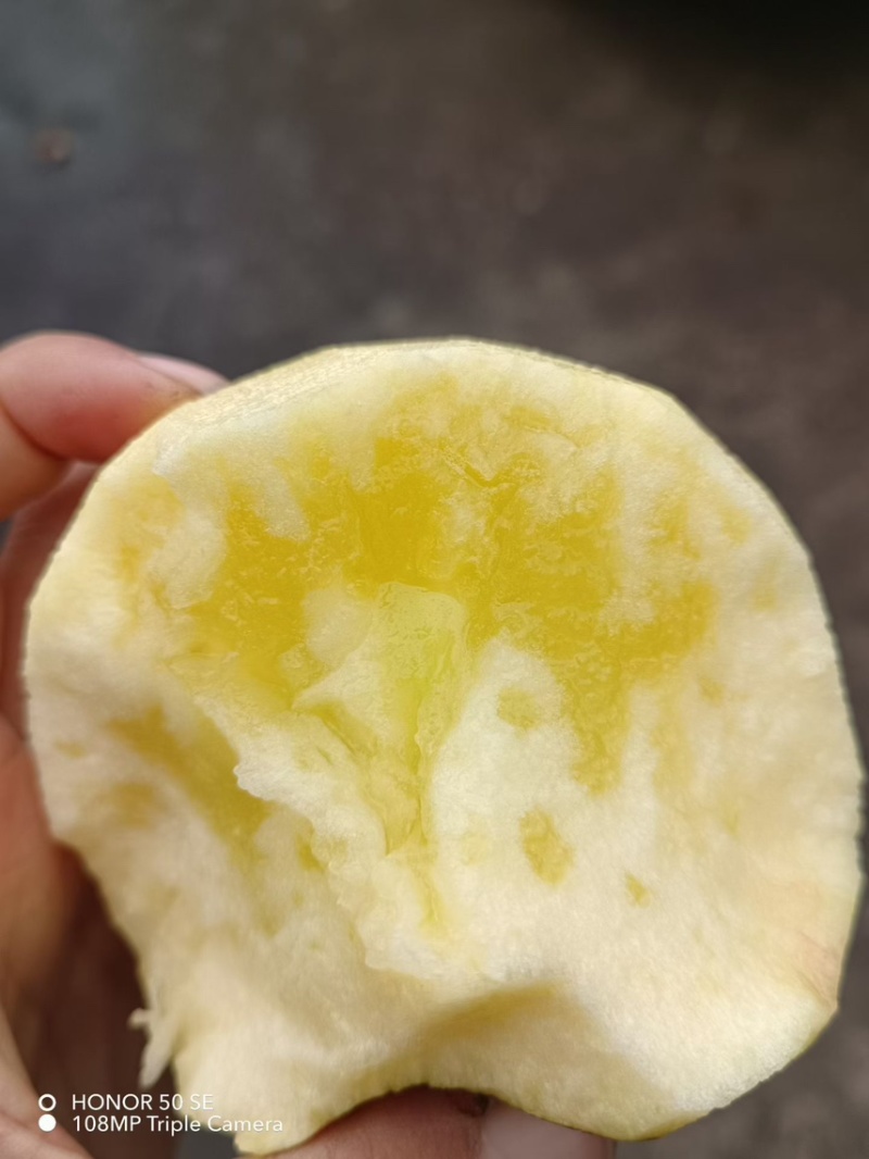 糖心红富士