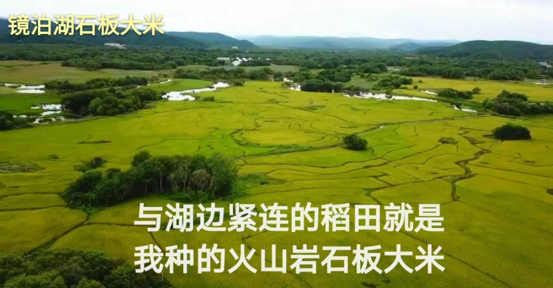 【响水大米】黑龙江大米/响水石板大米/产地直发电商团购
