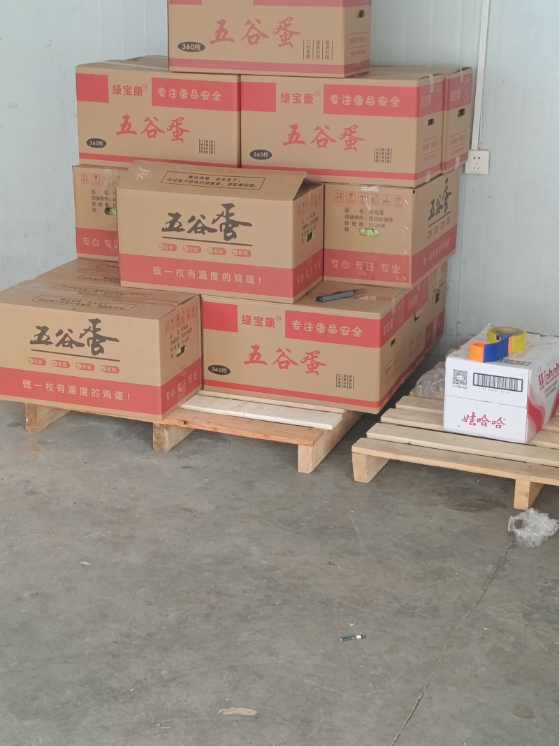 湖北潜江新鲜散养优质土鸡蛋，绿壳粉壳蛋，鸡场直销大量现货