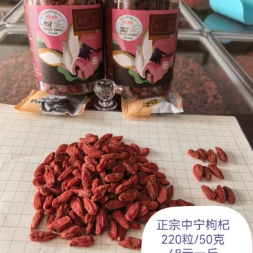【精品】宁杞7号，大量现货280粒，规格齐全可电商可